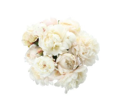 Beyaz arka planda bir buket güzel şakayık