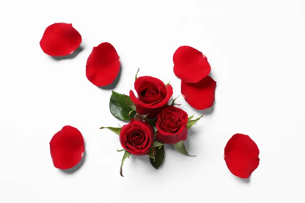 Hermosas Rosas Rojas Pétalos Sobre Fondo Blanco Vista Superior —  Fotos de Stock