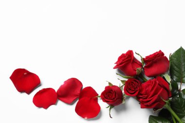 Beyaz arka planda güzel kırmızı güller ve taç yaprakları, üst manzara. Metin için boşluk