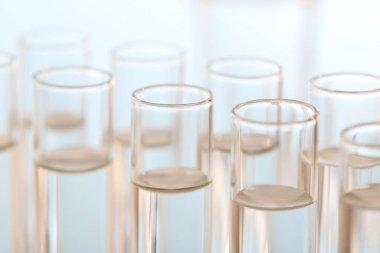 Laboratuvar analizi. Bulanık arkaplanda birçok cam test tüpü, yakın plan