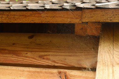 Tozlu örümcek ağı ahşap bina, yakın çekim