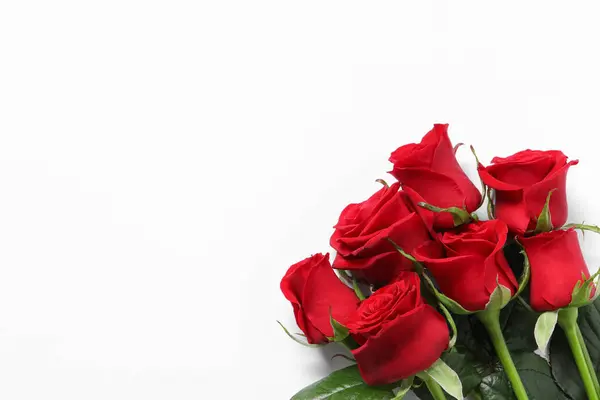 Lindas Rosas Vermelhas Fundo Branco Vista Superior Espaço Para Texto — Fotografia de Stock