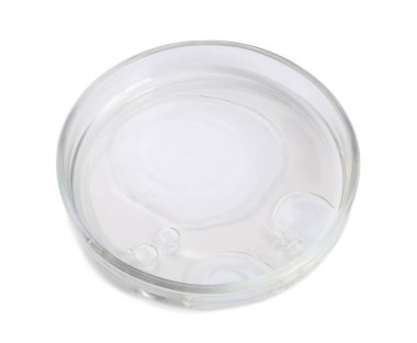 Sıvı örneği beyaz üzerine izole edilmiş petri kabı