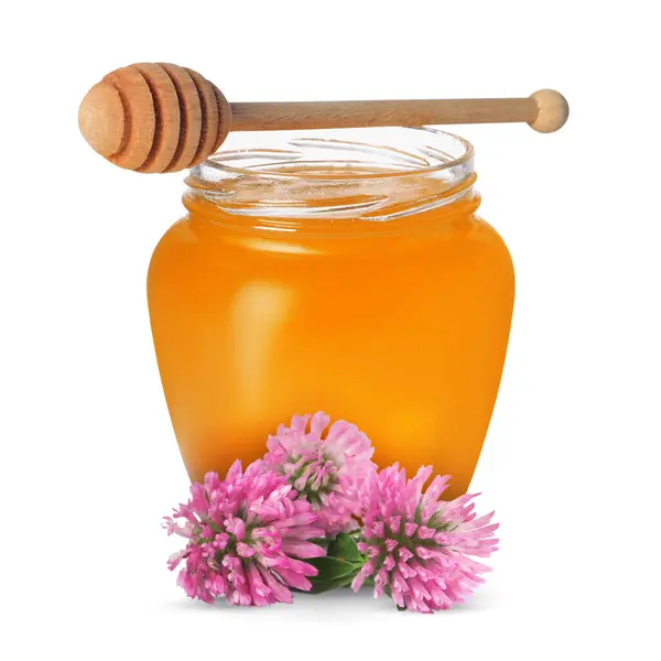 Honung Glasburk Dipper Och Klöver Blommor Isolerade Vit — Stockfoto