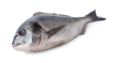 Taze çiğ dorado balığı beyazda izole edilmiş.