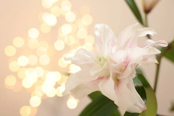 Beautiful lily flower against beige background with blurred lights, closeup. Space for text