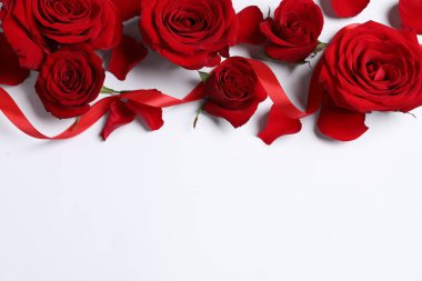 Güzel kırmızı güller, beyaz arka planda taç yaprakları ve kurdeleler, düz bir zemin. Metin için boşluk