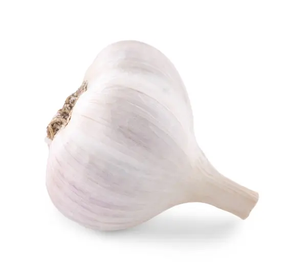 Head Fresh Garlic Isolated White — Stock Photo, Image