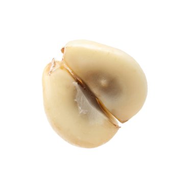 Beyaza izole edilmiş taze salak meyvesi.