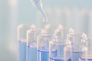 Laboratuvar analizi. Pipetten açık mavi sıvıyı bulanık arkaplanda cam test tüpüne damlatarak, yakın plan