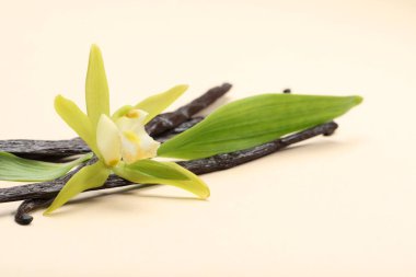 Vanilya kabukları, güzel çiçekler ve bej arka planda yeşil yapraklar, yakın plan.