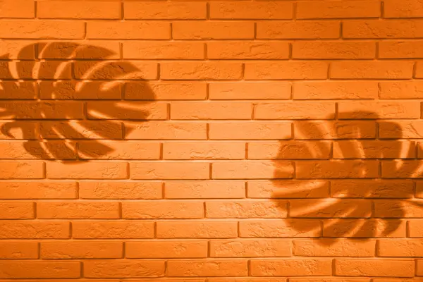 Shadows of monstera leaves on orange brick wall