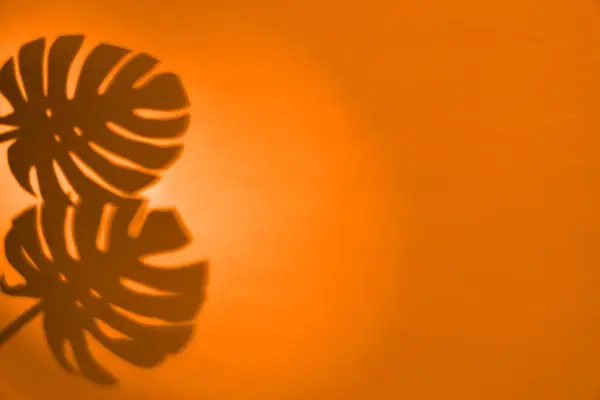 Shadows of monstera leaves on orange background, space for text