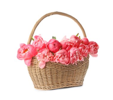 Beyaz arka planda güzel pembe şakayıklar olan sepet.