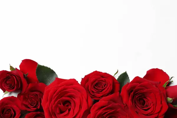 Όμορφα Κόκκινα Τριαντάφυλλα Λευκό Φόντο Επίπεδη Lay Χώρος Για Κείμενο — Φωτογραφία Αρχείου