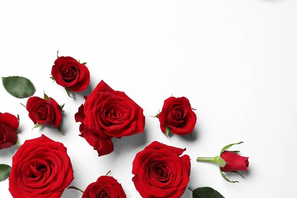 Όμορφα Κόκκινα Τριαντάφυλλα Λευκό Φόντο Επίπεδη Lay Χώρος Για Κείμενο — Φωτογραφία Αρχείου