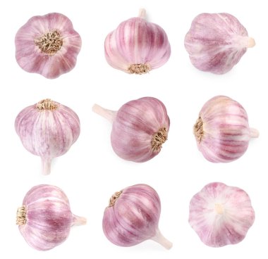 Taze sarımsak soğanları beyaza izole edilmiş.