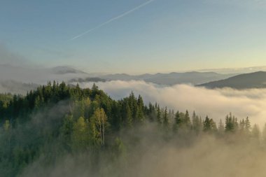 Güzel dağların ve sisli bir sabahta kozalaklı ağaçların havadan görünüşü