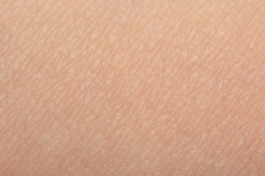 Arka plan olarak sağlıklı cilt dokusu, makro görünüm