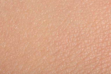 Arka plan olarak sağlıklı cilt dokusu, makro görünüm