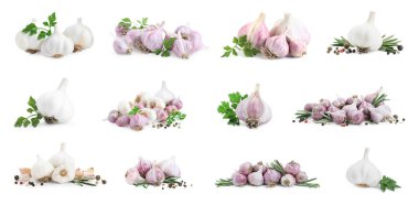 Taze sarımsak, biber, maydanoz ve biberiye.