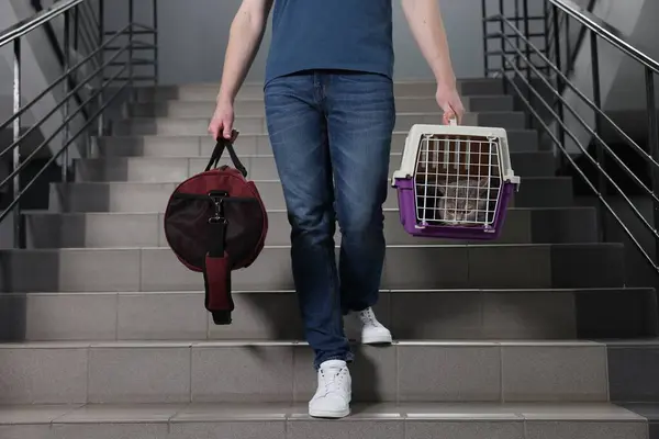 Travel with pet. Man holding carrier with cute cat and bag on stairs indoors, closeup