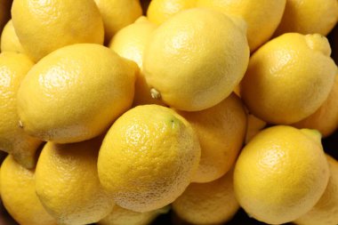 Arka plan olarak pek çok taze limon, üst görünüm