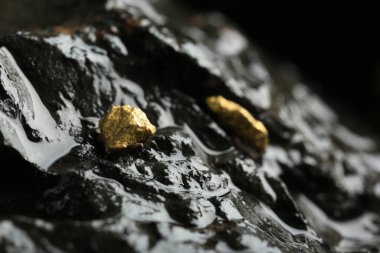 Islak taşın üzerinde parlak altın külçeler, yakın plan. Metin için boşluk