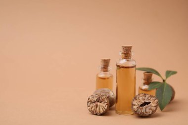 Nutmeg esaslı yağ ve bej arka planda fındık. Metin için boşluk
