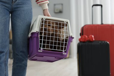 Evcil hayvanla seyahat et. Evde köpeği olan bir kadın var, yakın plan.
