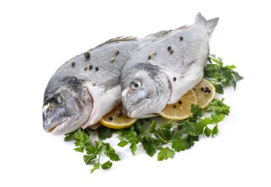 Çiğ dorado balığı, maydanoz, limon dilimleri ve beyaz üzerine izole edilmiş biberler.