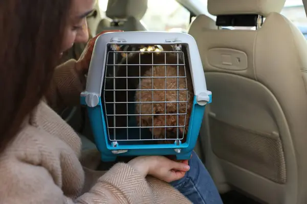 Woman with pet carrier travelling with her dog by car