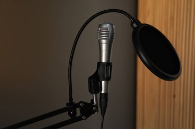 Kapalı alanda mikrofon ve pop filtresiyle durun. Ses kaydı ve takviye