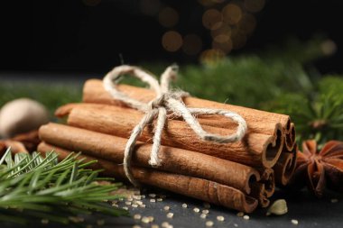 Farklı baharatlar ve köknar dalları masada, yakın plan