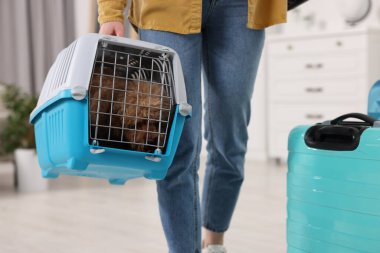 Evcil hayvanla seyahat et. Evde köpeği olan bir kadın var, yakın plan.