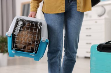 Evcil hayvanla seyahat et. Evde köpeği olan bir kadın var, yakın plan.