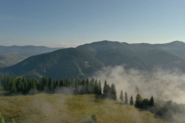 Güneşli bir günde dağlarda güzel orman manzarası ve kabarık bulutlar.