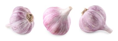 Taze sarımsak soğanları beyaza izole edilmiş.