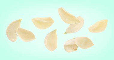 Aquamarine arka planına dökülen taze sarımsak karanfilleri, pankart tasarımı