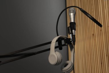 Mikrofon, kulaklık ve pop filtresiyle içeride durun. Ses kaydı ve takviye