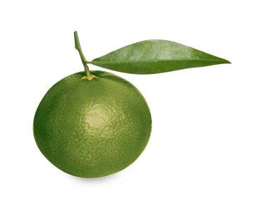 Yeşil mandalina beyaza izole edilmiş. Citrus meyvesi.