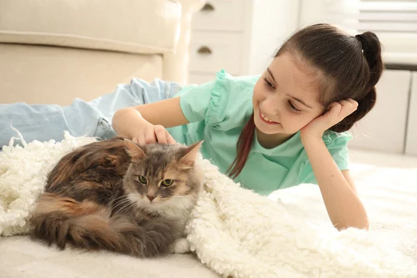 Evdeki halıda kedisi olan sevimli küçük bir kız. İlk hayvan