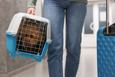 Evcil hayvanla seyahat et. Elinde bavul taşıyan, köpekli bir kadın, yakın plan.