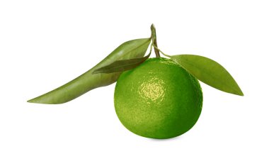 Yeşil mandalina beyaza izole edilmiş. Citrus meyvesi.