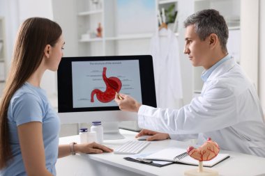 Gastroenterolog, insan midesi modelini klinikteki hastaya göstererek ekranı gösteriyor.