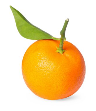 Taze taze, sulu mandalina ve beyaz yapraklı yeşil yaprak.