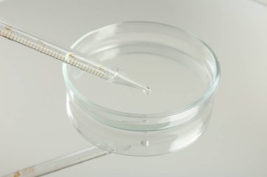 Ayna yüzeyinde pipetten petri kabına sıvı damlatıyor, yakın plan.