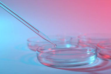 Renk arkaplanında pipetten petri kabına sıvı damlatılıyor, yakın plan