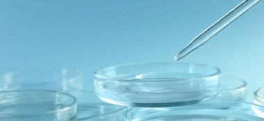 Açık mavi arkaplandaki petri kabının üstündeki boru, yakın plan.