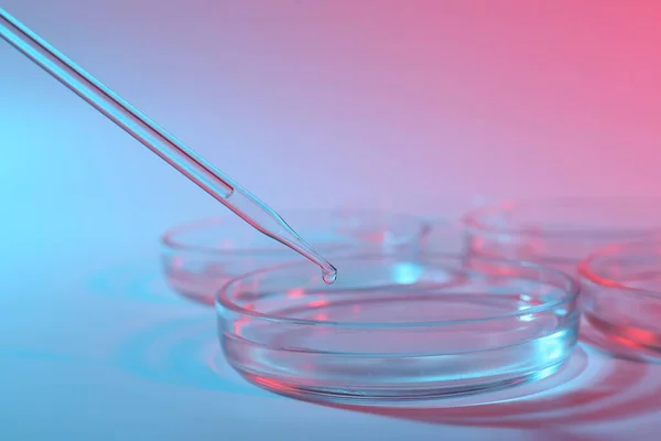 Dripping liquid from pipette into petri dish on color background, closeup